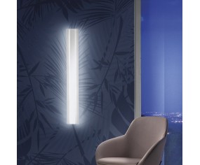 PROMOINGROSS APPLIQUE DOUP 2
