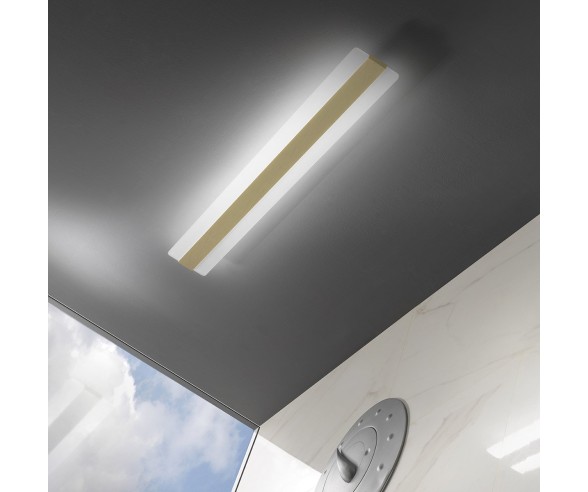 PROMOINGROSS APPLIQUE DOUP