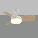 ACB VENTILATORE DA SOFFITTO LUCE LED BISE