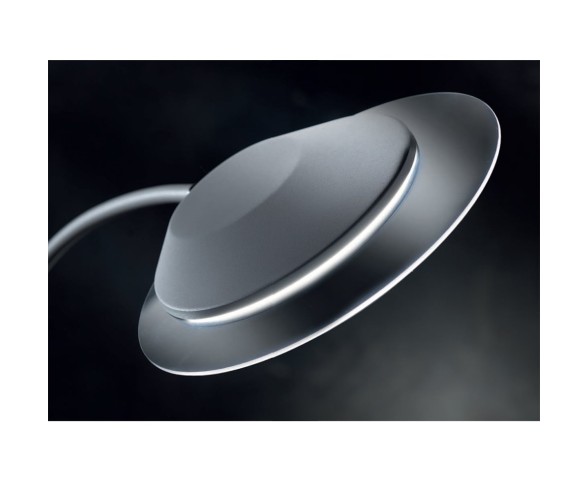 PROMOINGROSS PIANTANA ARCH