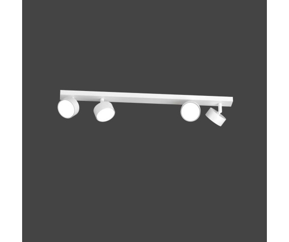 TOP LIGHT EDRA SPOT 2 LUCI