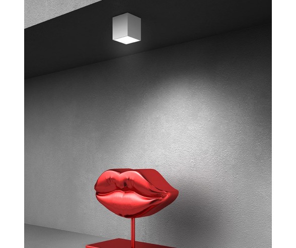 PROMOINGROSS SPOT JAR