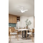PERENZ VENTILATORE DA SOFFITTO 7163 B CT