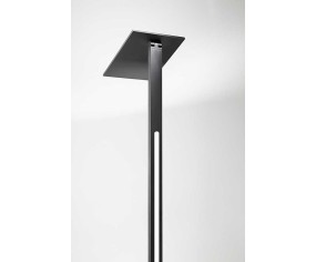 PERENZ PIANTANA QUADRA 2