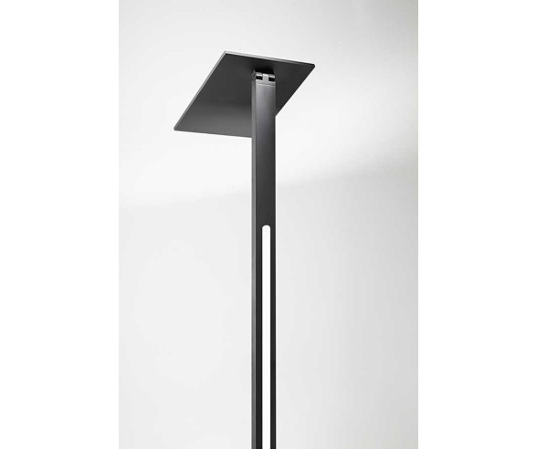 PERENZ PIANTANA QUADRA