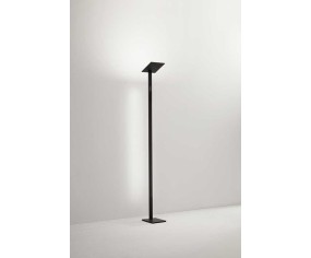 PERENZ PIANTANA QUADRA