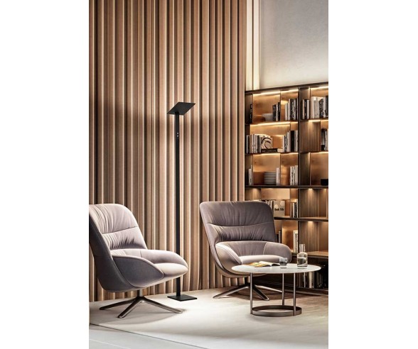 PERENZ PIANTANA QUADRA