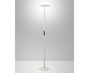 FABAS LUCE PIANTANA FIZZ 2