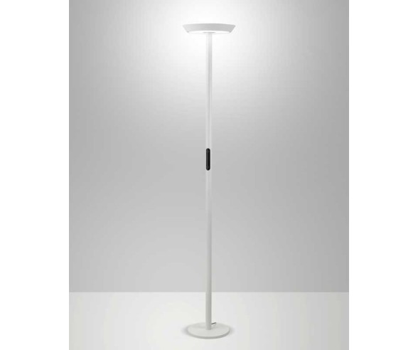 FABAS LUCE PIANTANA FIZZ