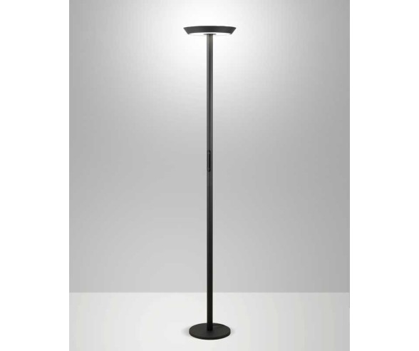 FABAS LUCE PIANTANA FIZZ