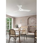 PERENZ VENTILATORE DA SOFFITTO IOKY