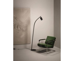 ONDALUCE PIANTANA MURGA 2