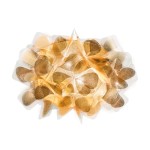SLAMP APPLIQUE CLIZIA MAMA NON MAMA