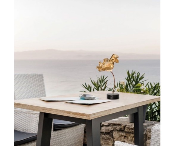 SLAMP LAMPADA DA TAVOLO RICARICABILE LEFLEUR