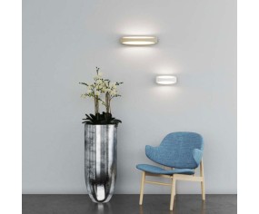 TOP LIGHT 2