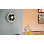 FERROLUCE APPLIQUE PHYTHIA