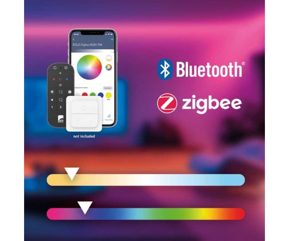 APPLIQUE DA SPECHIO REGELLO