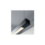 Redo Group Acrobat Suspension