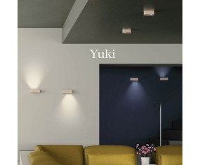 Redo Group Yuki wall spotlight 2