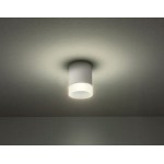 Redo Group Plafoniera da esterno con diffusore sporgente Xilo