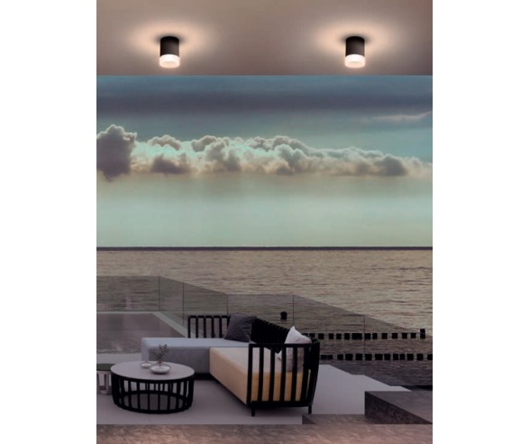 Redo Group Outdoor ceiling lamp with protruding diffuser Xilo