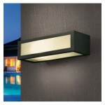 PROMINGROSS APPLIQUE ASTER 7271