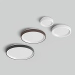 Linea light Iside ceiling lamp