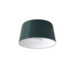 LINEA LIGHT PLAFONIERA DELFI