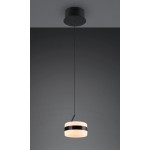 Trio Lighting Dios Pendelleuchte