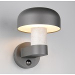 Trio Lighting Fraser outdoor wall lamp