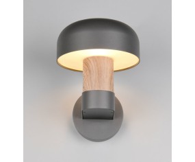 Trio Lighting Fraser Außenwandleuchte 2