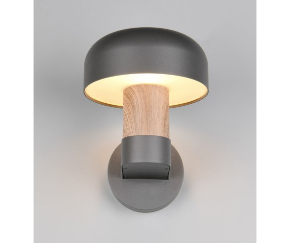 Trio Lighting Fraser Außenwandleuchte