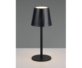 Trio Lighting Diaz Tragbare Lampe