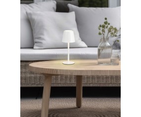 Trio Lighting Diaz Portable Lamp 2