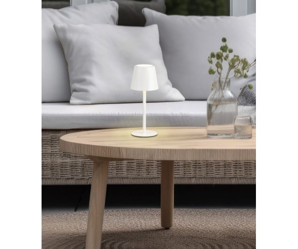 Trio Lighting Diaz Portable Lamp