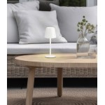 Trio Lighting Diaz Tragbare Lampe