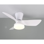 Trio Lighting Randers Ceiling Fan