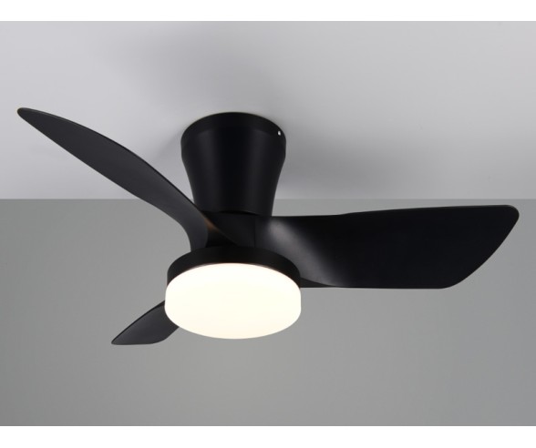 Trio Lighting Randers Ceiling Fan