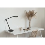 Acb Luxa Table Lamp
