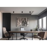 Acb Soul Ceiling Lamp