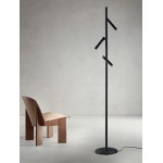 ONDALUCE PIANTANA TEDDY