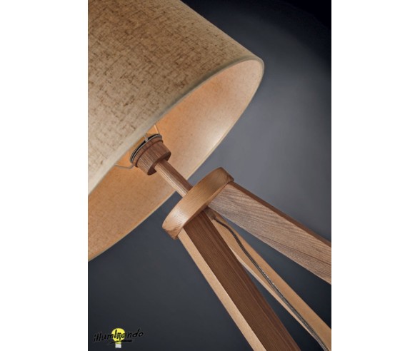 Illuminando Floor Lamp Compasso