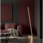 Cattaneo Piantana Logica