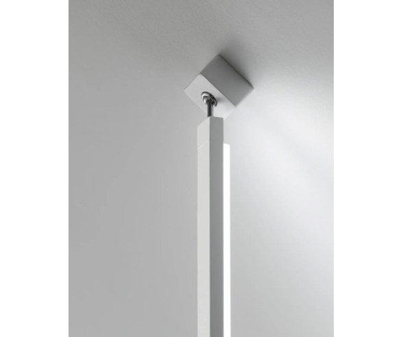 Stilnovo Xylem Suspension