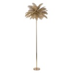 MAURO FERRETTI PIANTANA PALM