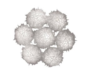 SLAMP SOSPENSIONE VELI 7 2