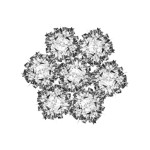 SLAMP SOSPENSIONE VELI 7